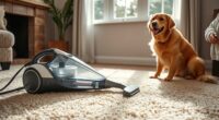 portable pet carpet cleaners