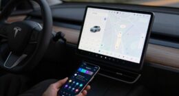 dedicated display preference