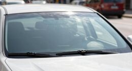 importance of windshield rules