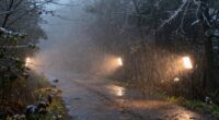 proper visibility in adverse weather