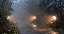 proper visibility in adverse weather